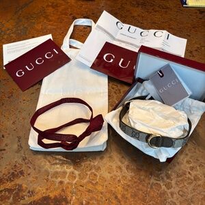 Gucci dog collar